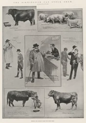 Birmingham Fat Stock Show